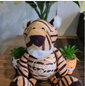 Tiger plush toy with born 2022 printed on its tummy