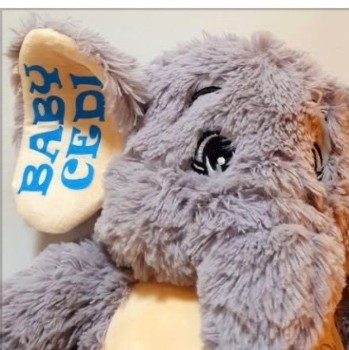 Grey plush elephant with Baby Cedi and birth details printed on its ear